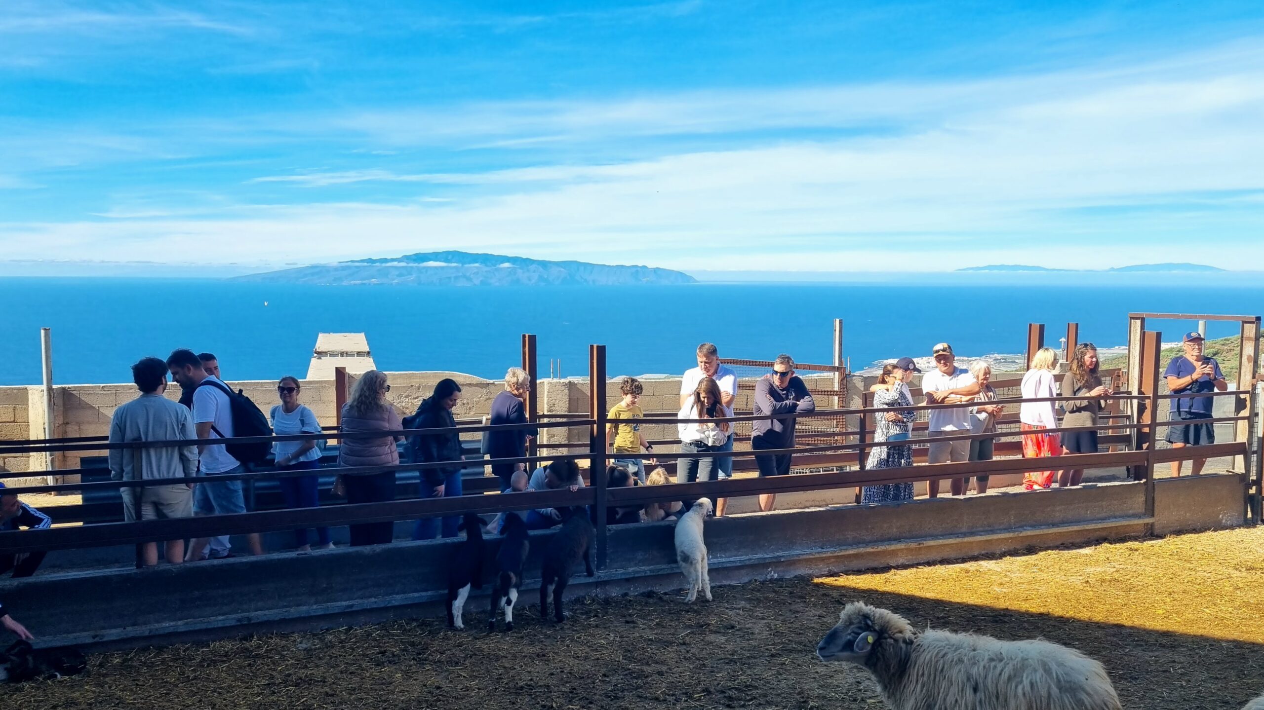 Visitors at the Montesdeoca farm with views towards La Gomera